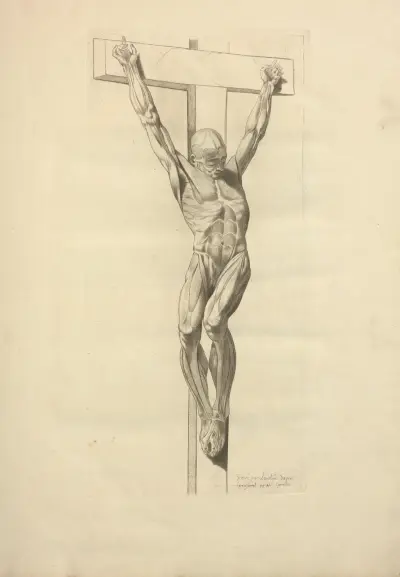 Nouveau recueil d’ostéologie et de myologie; dessiné d’après nature Pl.31 av Jacques Gamelin