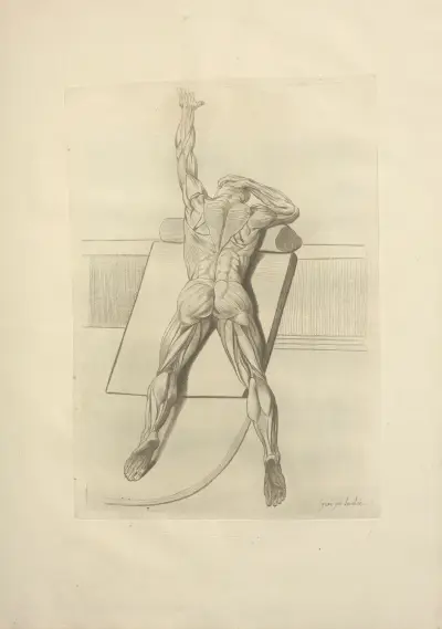 Nouveau recueil d’ostéologie et de myologie; dessiné d’après nature Pl.59 av Jacques Gamelin