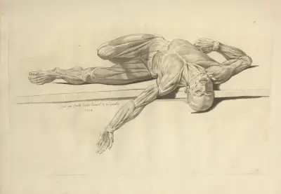 Nový soubor osteologie a myologie; kresleno podle přírody, tab. 35, Jacques Gamelin