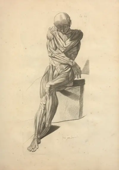Nouveau recueil d’ostéologie et de myologie; dessiné d’après nature Pl.42 av Jacques Gamelin