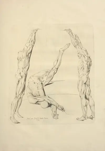 Nouveau recueil d’ostéologie et de myologie; dessiné d’après nature Pl.63 av Jacques Gamelin