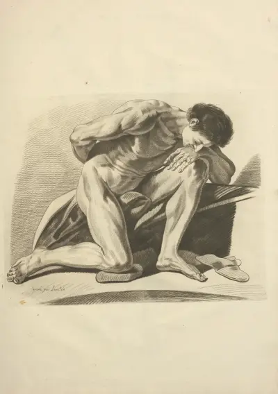 Nytt urval av osteologi och myologi; tecknat efter naturen Pl.66 av Jacques Gamelin