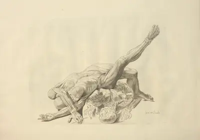 Nouveau recueil d’ostéologie et de myologie; dessiné d’après nature Pl.43 av Jacques Gamelin