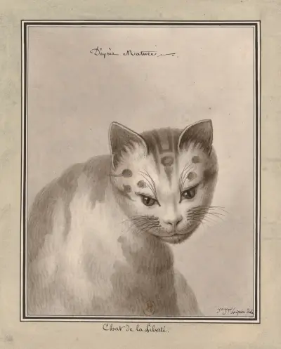 Chat de la liberté – d’après natur av Jean Jacques Lequeu