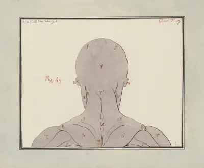 Ecorché, vy från ryggen av Jean Jacques Lequeu