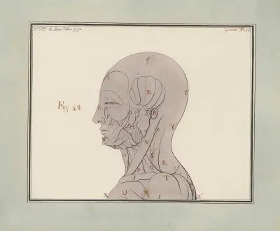 Ecorché, vue de profil von Jean Jacques Lequeu