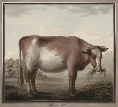 Starý Iphinass, Jean Jacques Lequeu