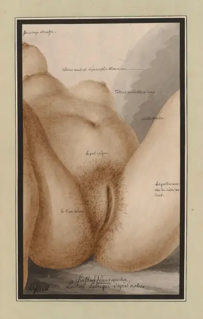 Den skamlösa liggande Venus. Lubriska ställningar efter naturen av Jean Jacques Lequeu