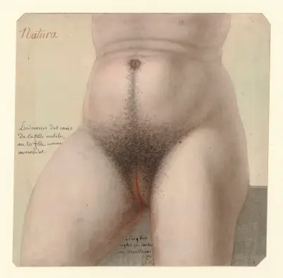 Natura av Jean Jacques Lequeu