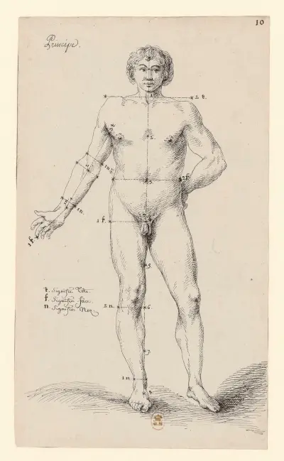 Prins (manlig anatomi) av Jean Jacques Lequeu