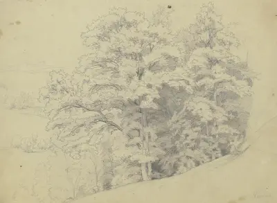 Piece of a forest on a slope, Jakob Becker