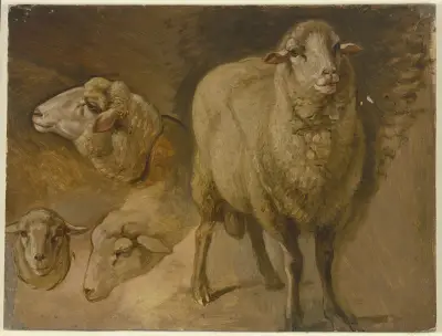 Sheep av Jakob Becker