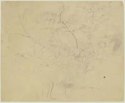 Shrubbery av Jakob Becker
