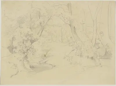 Studies of branches von Jakob Becker