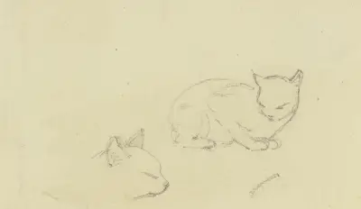 Studieblad; katter av Jakob Becker