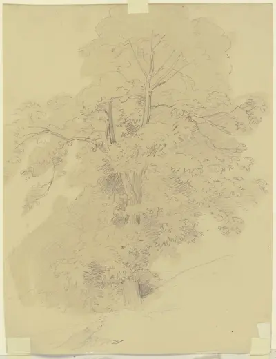 Tree av Jakob Becker