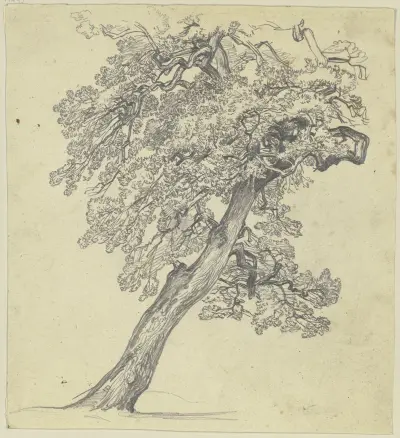 Tree av Jakob Becker