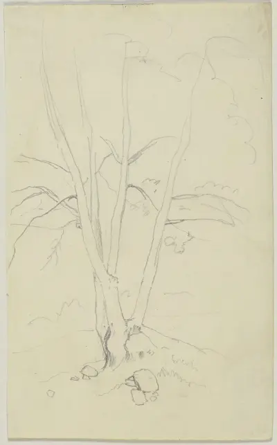 Tree von Jakob Becker