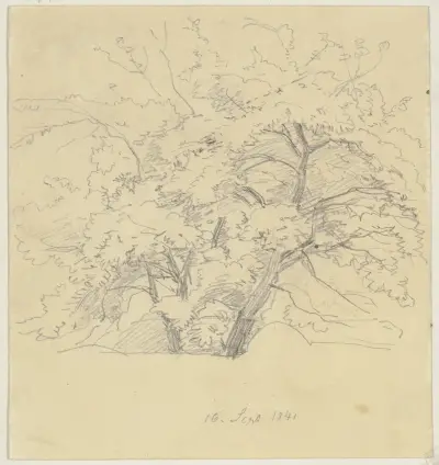 Tree av Jakob Becker