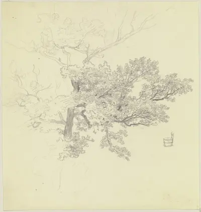 Treetop and tub von Jakob Becker