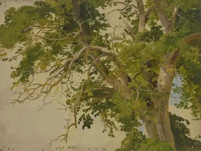Treetop av Jakob Becker