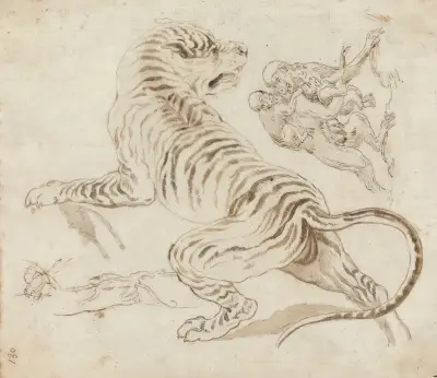 Study for a Tiger and Monkeys av James Northcote