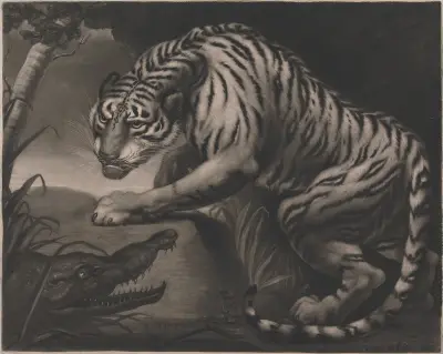 Tiger and Crocodile av James Northcote