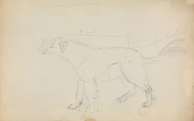 En hund (med måttangivelser) av James Sowerby