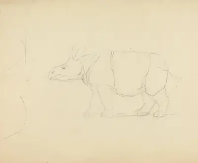 Nosorožec, James Sowerby