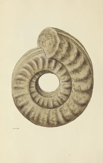 The mineral conchology of Great Britain Pl.126 av James Sowerby