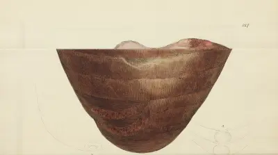 The mineral conchology of Great Britain Pl.436 av James Sowerby