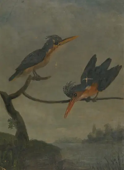 Zwei Eisvögel an einem See – Nr. 2 von James Sowerby