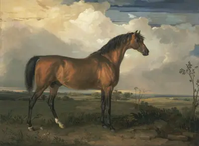 Eagle, en berömd hingst av James Ward