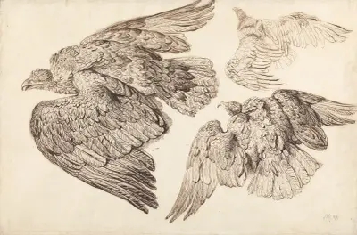 Orli, James Ward