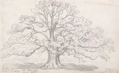 Mr. Howard’s Large Oak, August 5, 1820 av James Ward