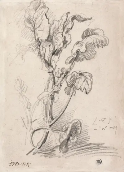 Plant Study av James Ward