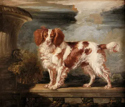 Portrait of Dash, a Favourite Spaniel, the Property of Lady Frances Vane-Tempest av James Ward