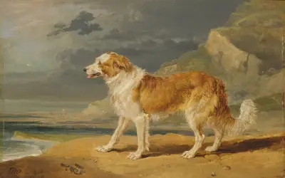 Rough-Coated Collie av James Ward