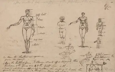 Studies of Anatomy, Measurements and Writing av James Ward