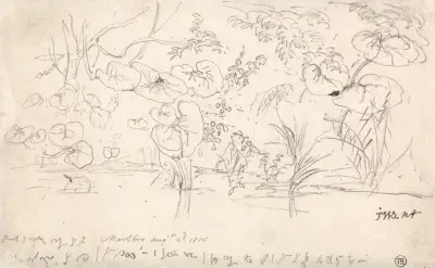 Studier av växter, 2 augusti 1815 av James Ward
