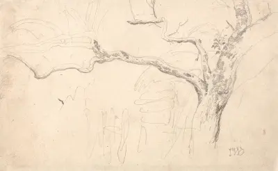 Trädstudie av James Ward