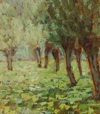 Light Patch – Ornica av Jan Bohuszewicz