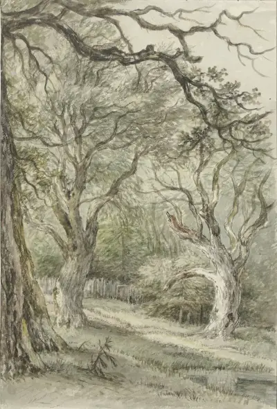 Bosgezicht av Jan Hulswit