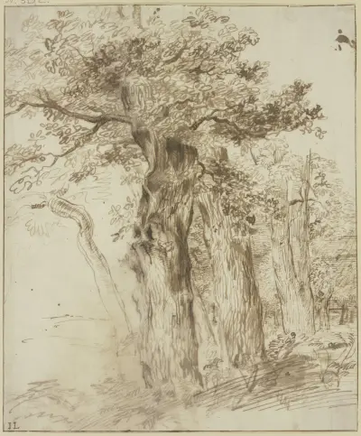 Eine Gruppe von Eichenstämmen av Jan Lievens