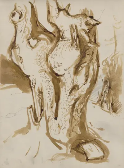 Studium drzew, 1940 – Nr. 5, Ján Novák