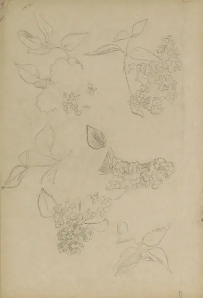 Bladeren en hyacinten von Jan Veth