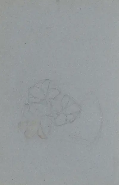 Blomma av Jan Veth