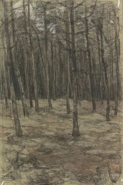 Boslandschap av Jan Veth