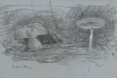 Paddenstoelen von Jan Veth