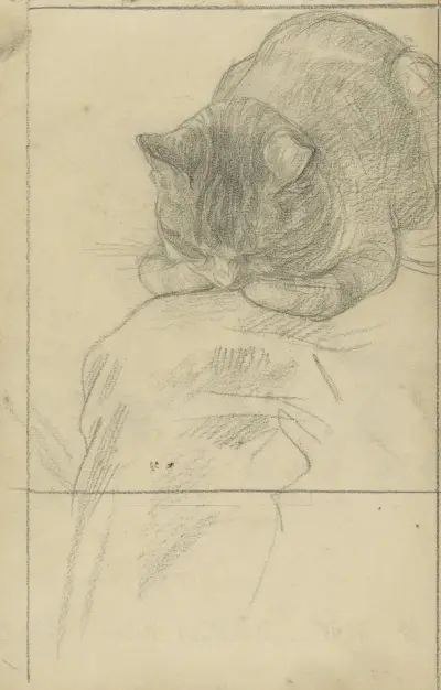 Studier av en katt av Jan Veth